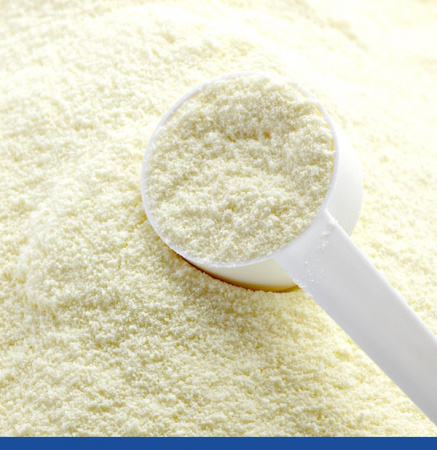 Йогурт Сухой Классический порошок 100 г Йогурт Сухой Классический порошок 100 г