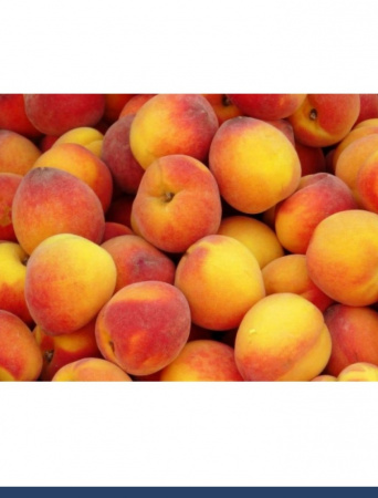 Персик сухой сок (пудра)