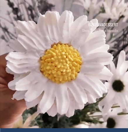 Кондитерские насадки лепесток 2-й изогнутый 99, 100 Tulip™ малый размер Кондитерские насадки лепесток 2-й изогнутый 99, 100 Tulip™ малый размер